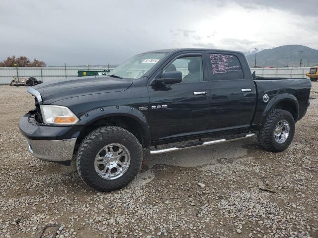 2009 Dodge Ram 1500 VIN: 1D3HV13TX9S768383 Lot: 55179974