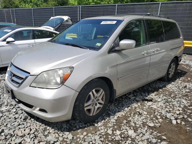 2005 Honda Odyssey Exl VIN: 5FNRL38765B091916 Lot: 53657204