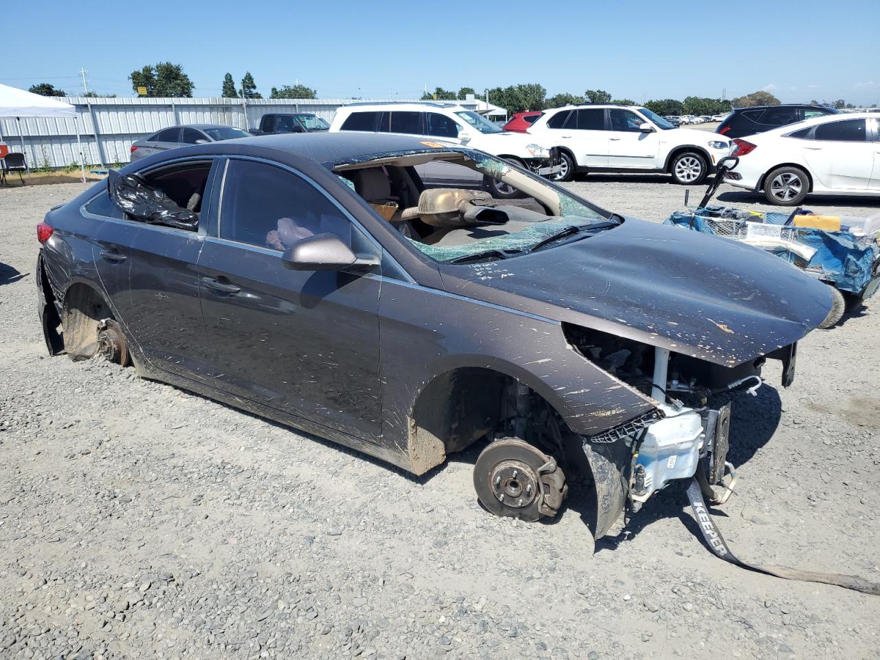 Lot #2789304471 2016 HYUNDAI SONATA SE