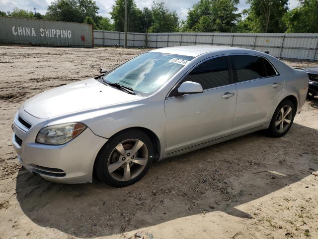 2011 Chevrolet Malibu 1Lt VIN: 1G1ZC5E17BF145249 Lot: 53965214