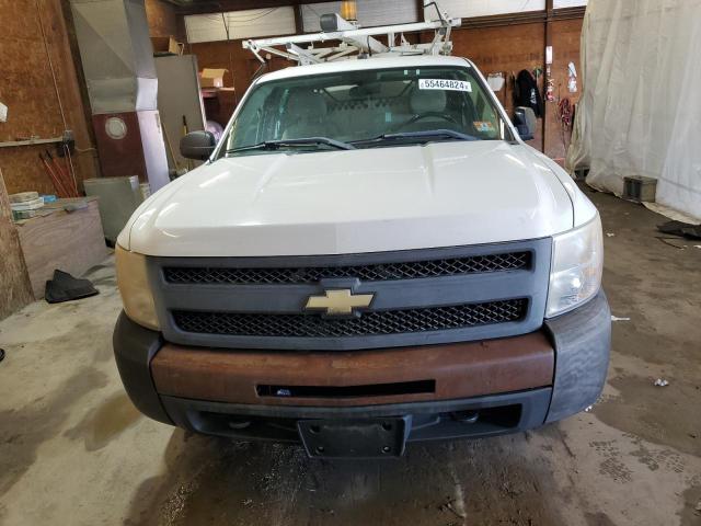 3GCXCUEJ5AG256274 | 2010 Chevrolet silverado c1500 hybrid