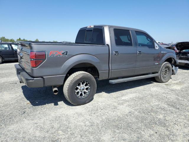 2013 Ford F150 Supercrew VIN: 1FTFW1ET1DKD48868 Lot: 55311194