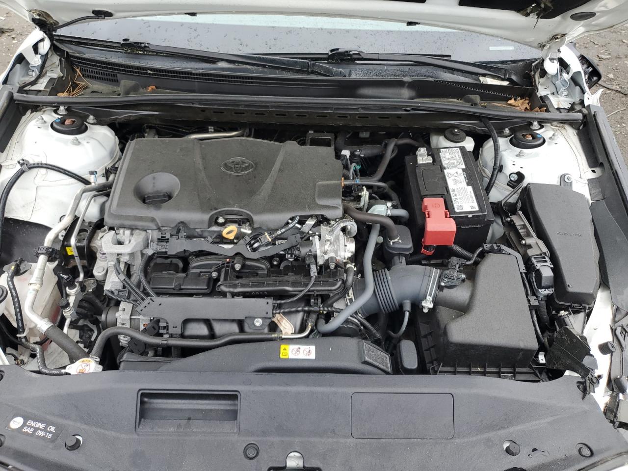 4T1G11BK1MU037696 2021 Toyota Camry Se