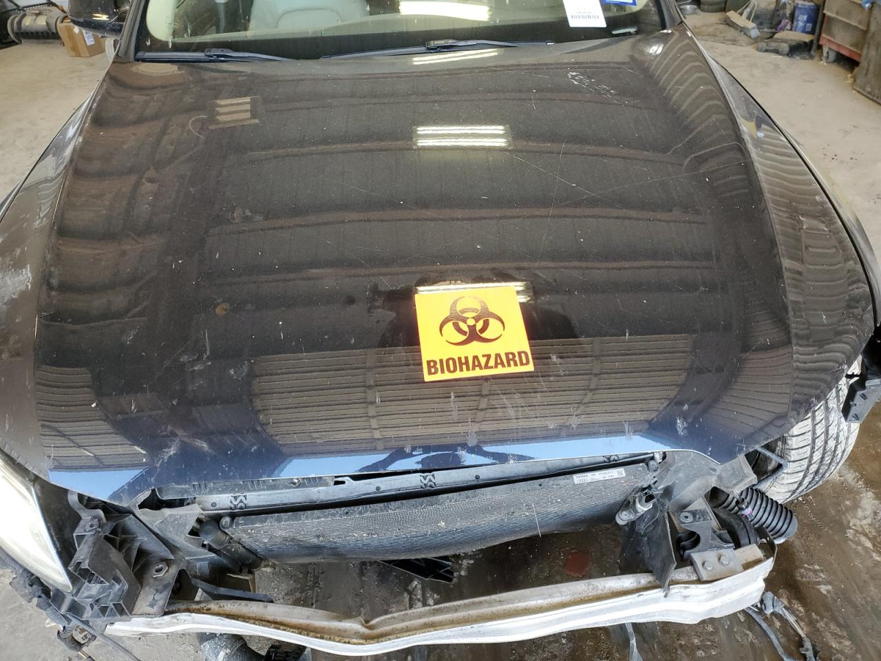 WA1LFAFP5FA146641 2015 Audi Q5 Premium Plus