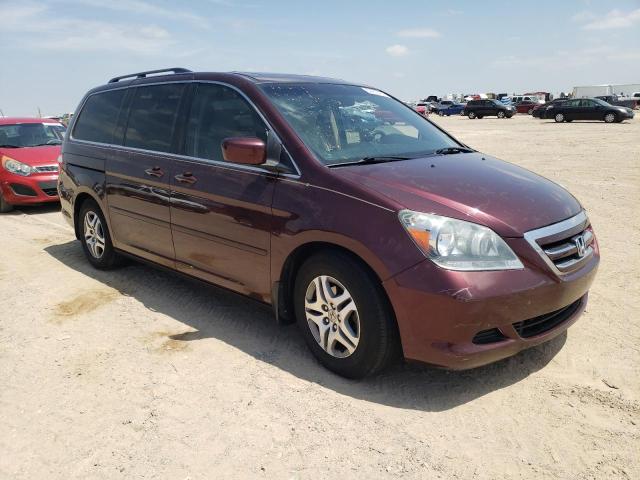 2007 Honda Odyssey Exl VIN: 5FNRL38727B413230 Lot: 52956404