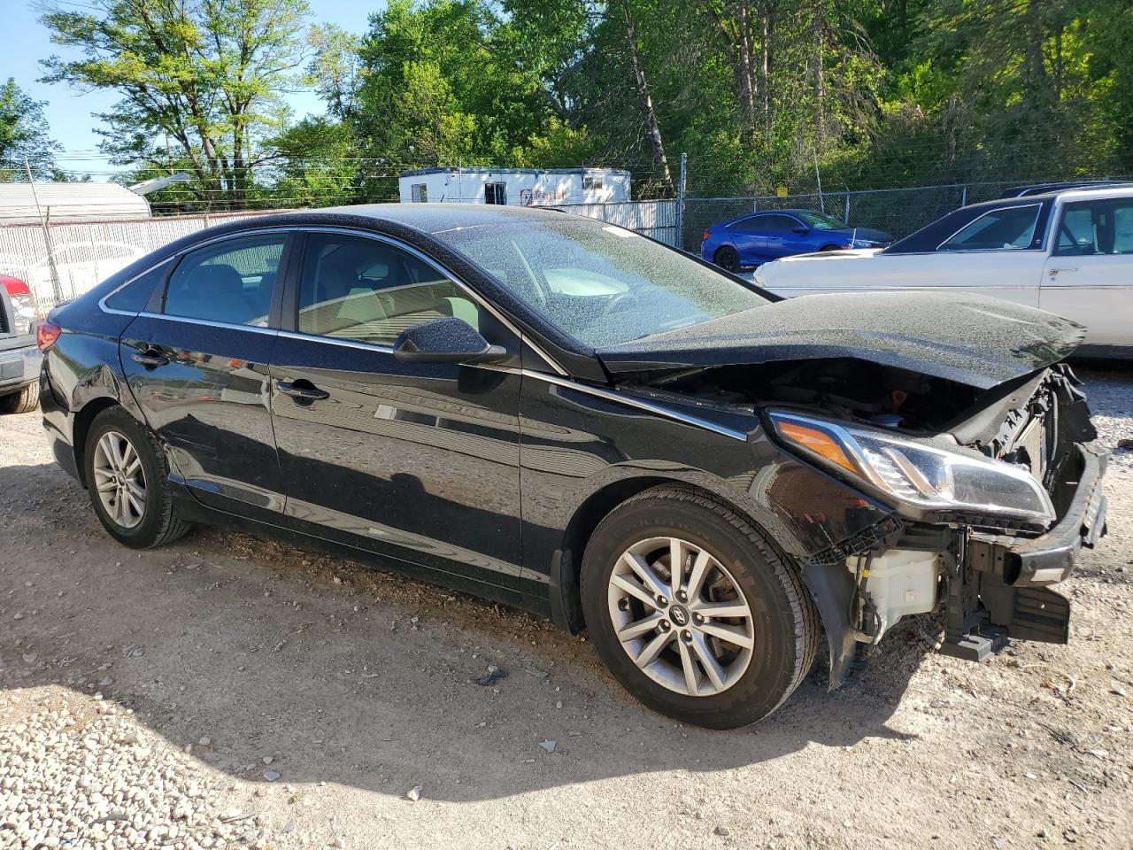 5NPE24AF0GH369299 2016 Hyundai Sonata Se