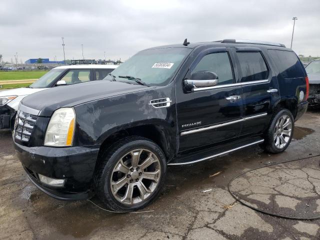 2007 Cadillac Escalade Luxury VIN: 1GYFK63887R181213 Lot: 55365834