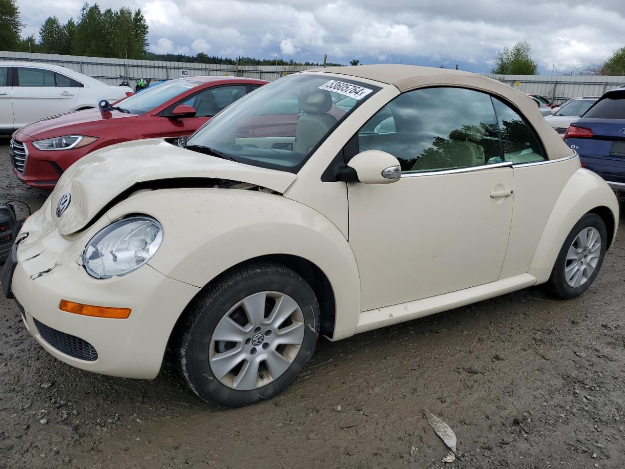 3VWPF31Y68M420774 2008 Volkswagen New Beetle Convertible S