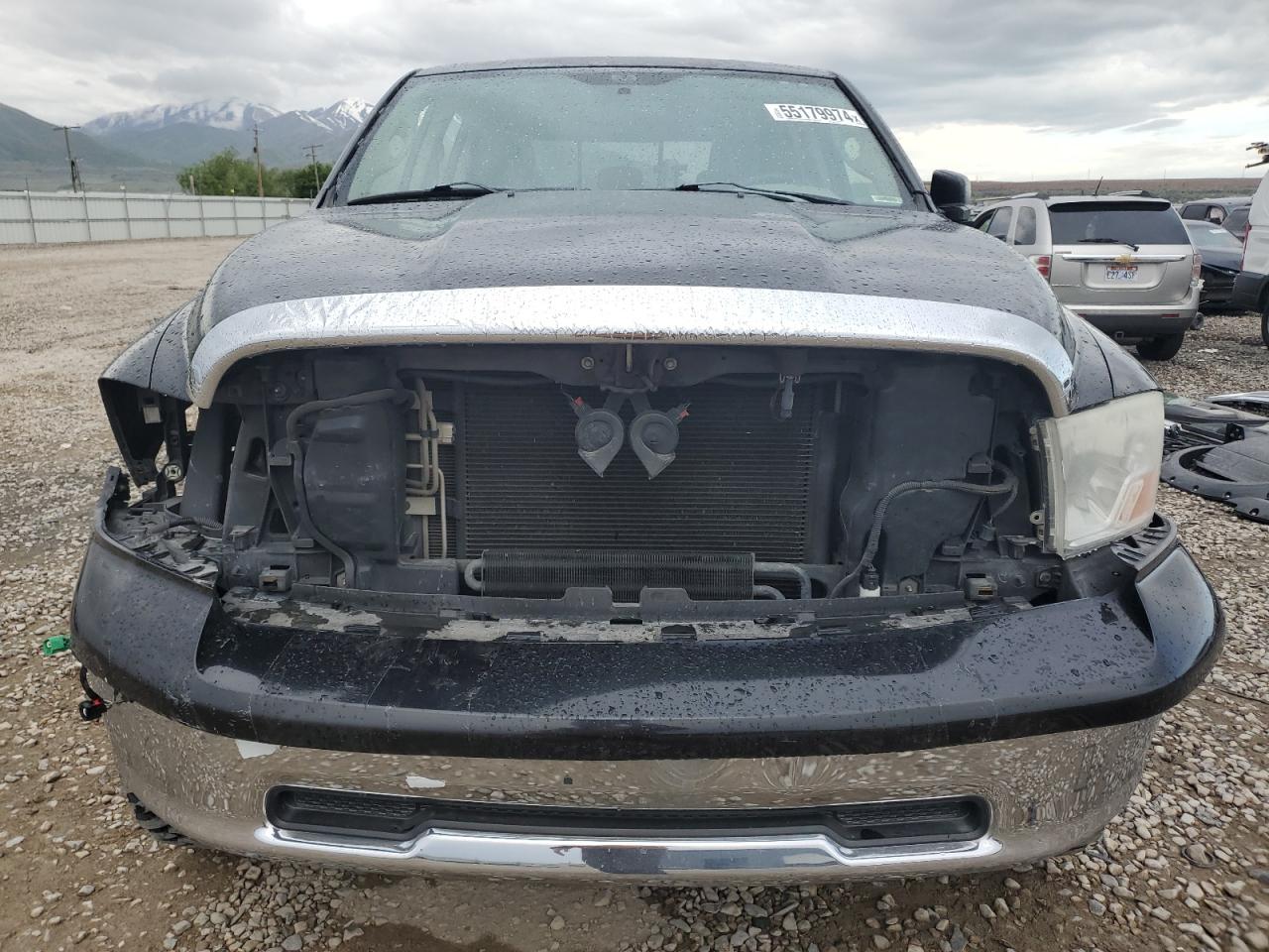 1D3HV13TX9S768383 2009 Dodge Ram 1500