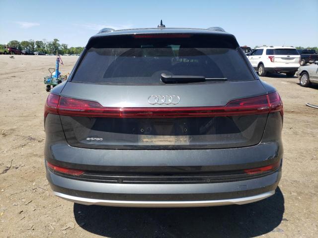 2019 Audi E-Tron Premium Plus VIN: WA1LAAGE7KB010219 Lot: 57077874