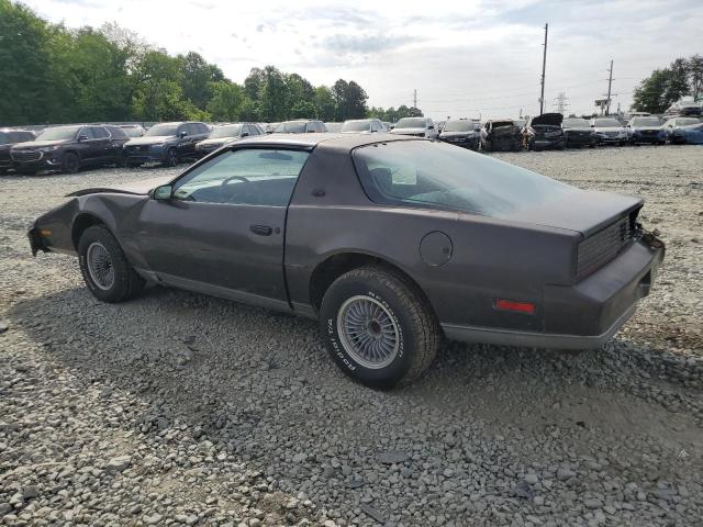 1983 Pontiac Firebird Se VIN: 1G2AX87L3DN222107 Lot: 52700134