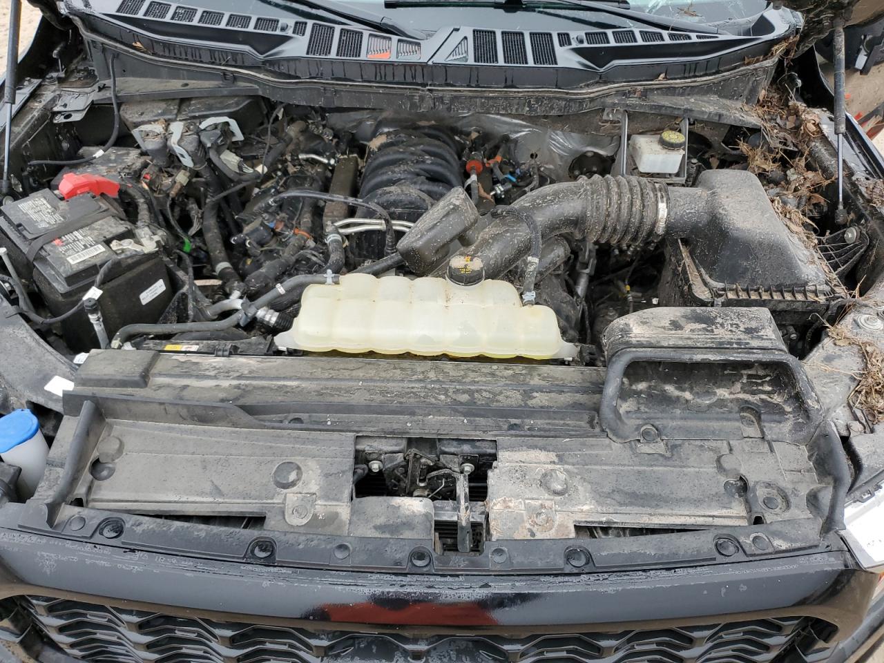 1FTFW1E56NKD68231 2022 Ford F150 Supercrew