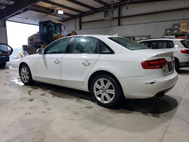 2010 Audi A4 Premium VIN: WAUAFAFL8AN033565 Lot: 54390034