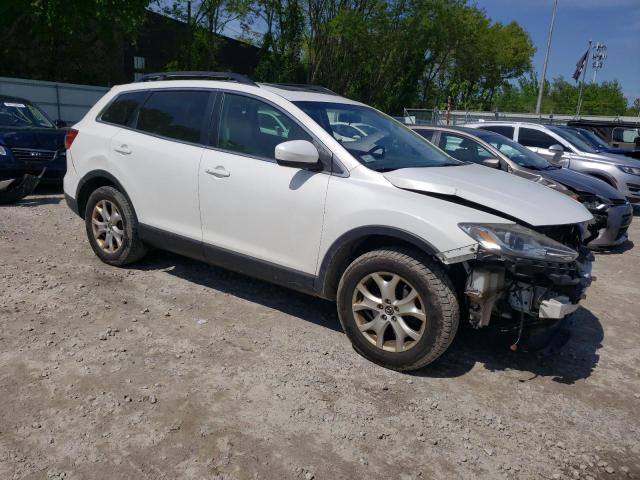 2013 Mazda Cx-9 Touring VIN: JM3TB3CV3D0417965 Lot: 55747274