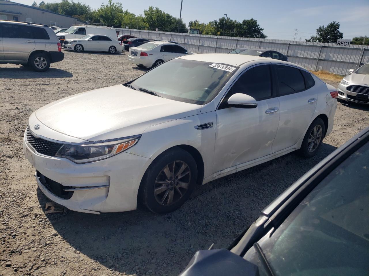 2016 Kia Optima Lx vin: KNAGT4L30G5117154