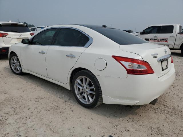 2009 Nissan Maxima S VIN: 1N4AA51EX9C858862 Lot: 54199444