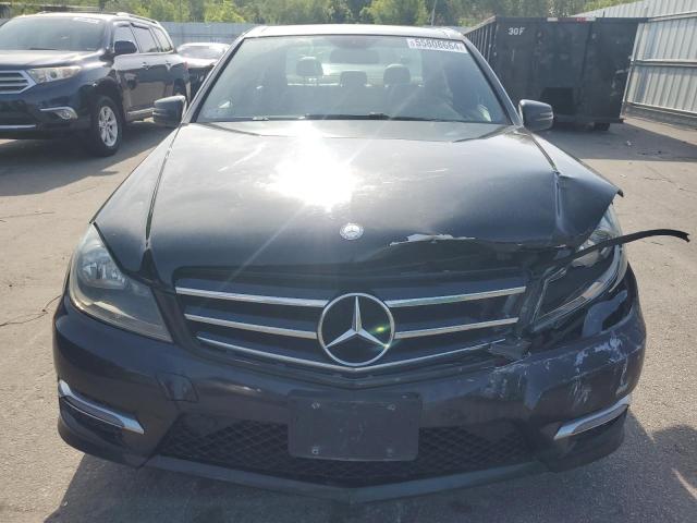 2014 Mercedes-Benz C 300 4Matic VIN: WDDGF8AB5EG174923 Lot: 55808664