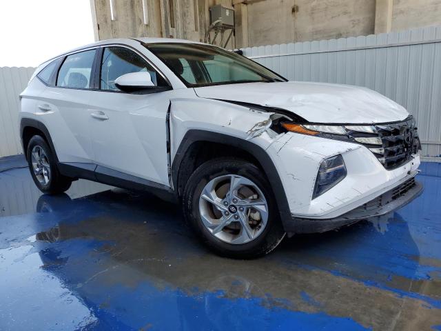 2023 Hyundai Tucson Se VIN: 5NMJA3AE9PH184409 Lot: 54324734