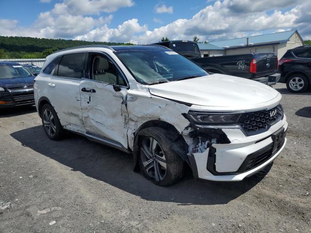 2023 Kia Sorento Sxp VIN: KNDRMDLG0P5146763 Lot: 56800364