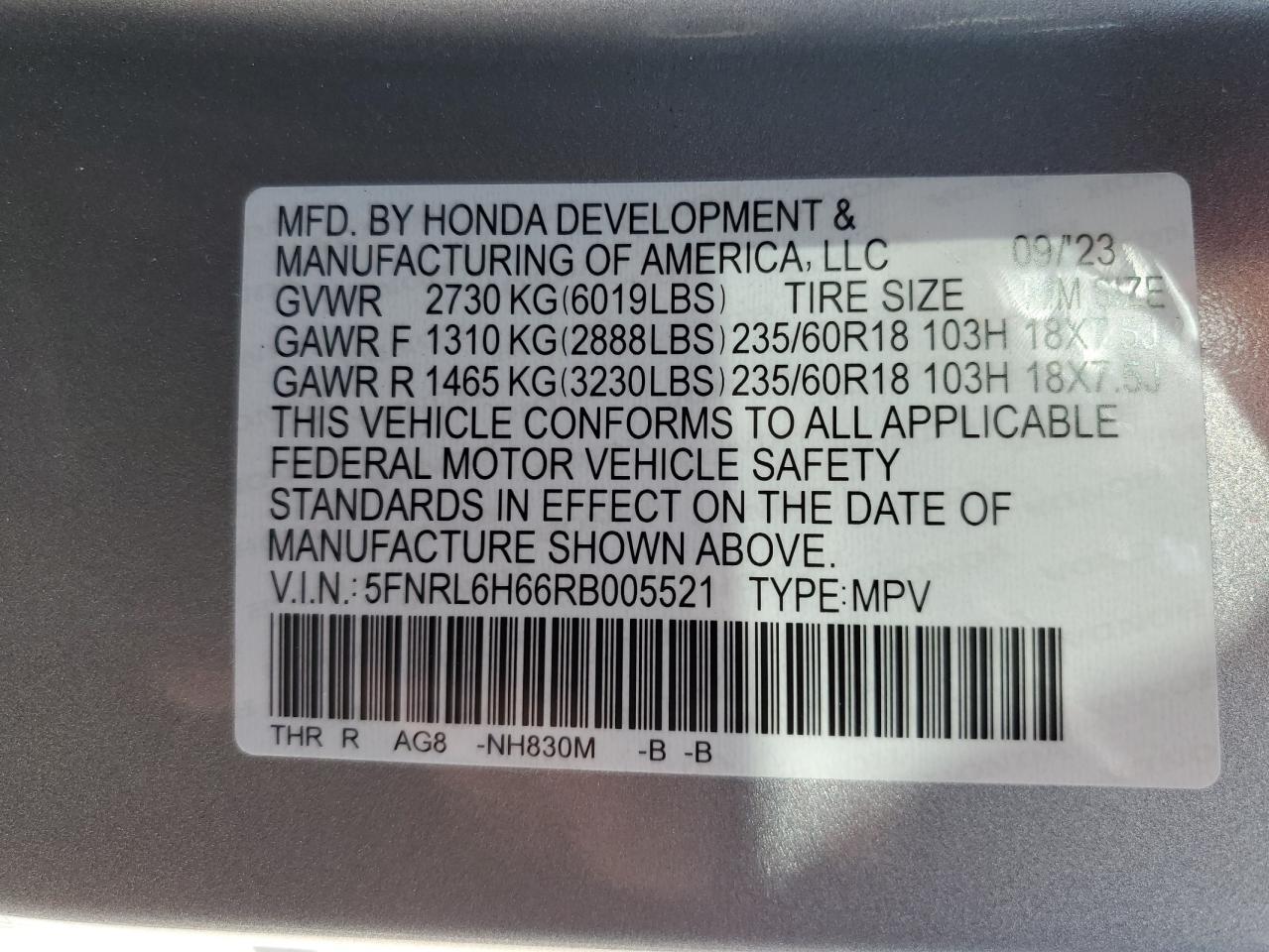 5FNRL6H66RB005521 2024 Honda Odyssey Exl