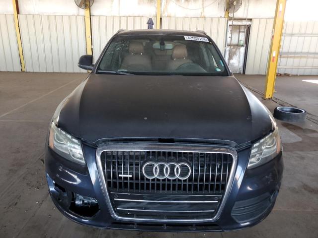 2010 Audi Q5 Premium Plus VIN: WA1LKAFPXAA084576 Lot: 53635154