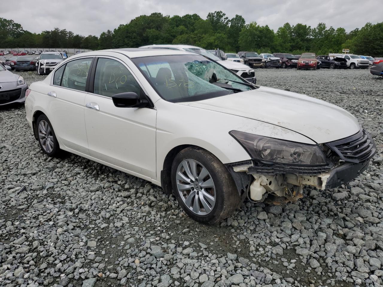 1HGCP3F85BA007614 2011 Honda Accord Exl