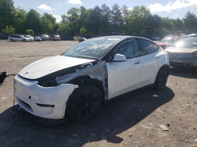 2023 Tesla Model Y VIN: 7SAYGDEE6PF630341 Lot: 51165214