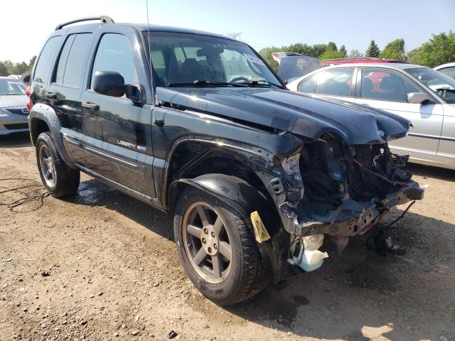 2003 Jeep Liberty Sport VIN: 1J4GL48K13W663785 Lot: 54432874