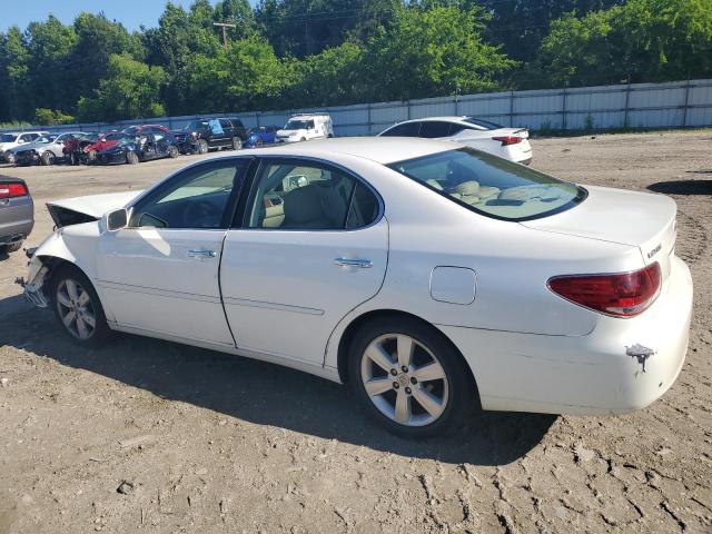 2006 Lexus Es 330 VIN: JTHBA30G365165491 Lot: 57281804