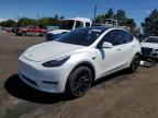 2022 TESLA MODEL Y - 7SAYGDEEXNF488461