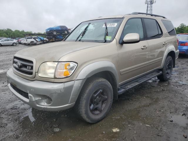 2002 Toyota Sequoia Sr5 VIN: 5TDBT44A12S132923 Lot: 54913494