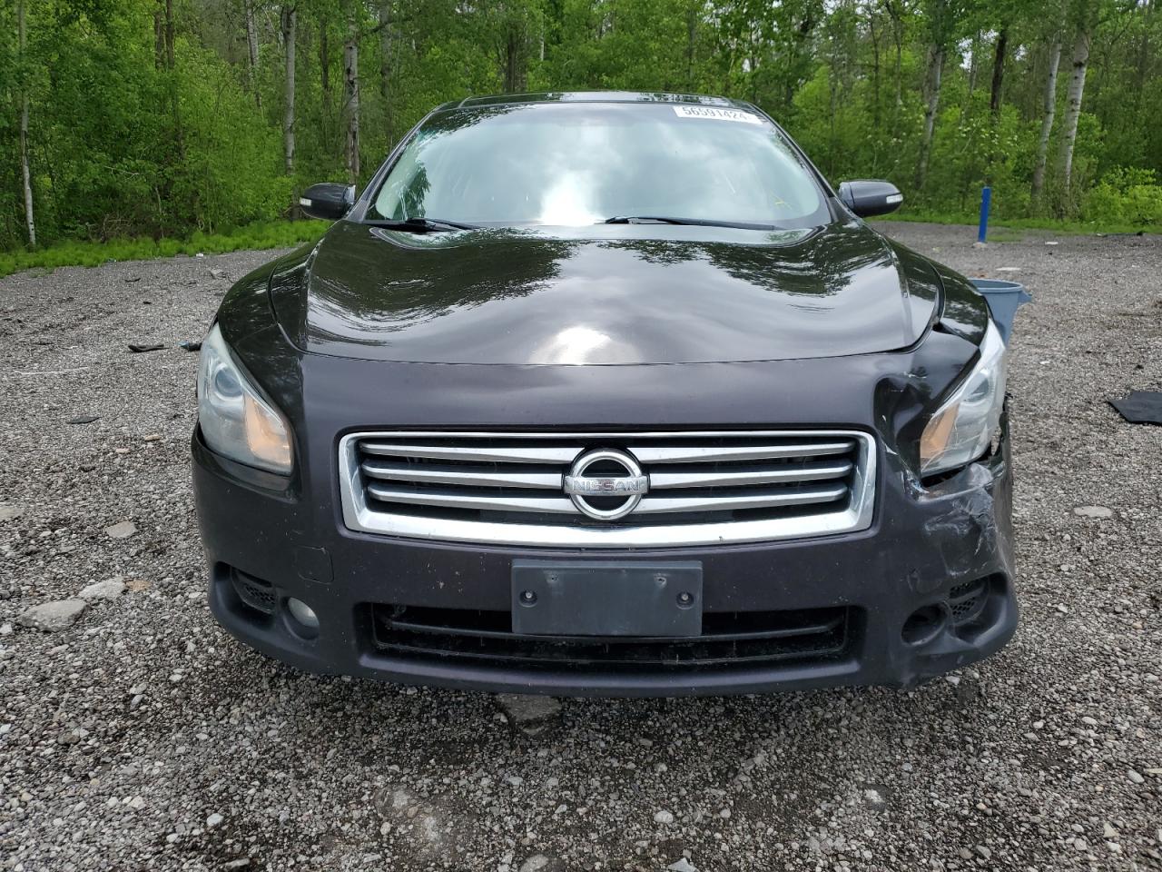 1N4AA5AP0DC833379 2013 Nissan Maxima S