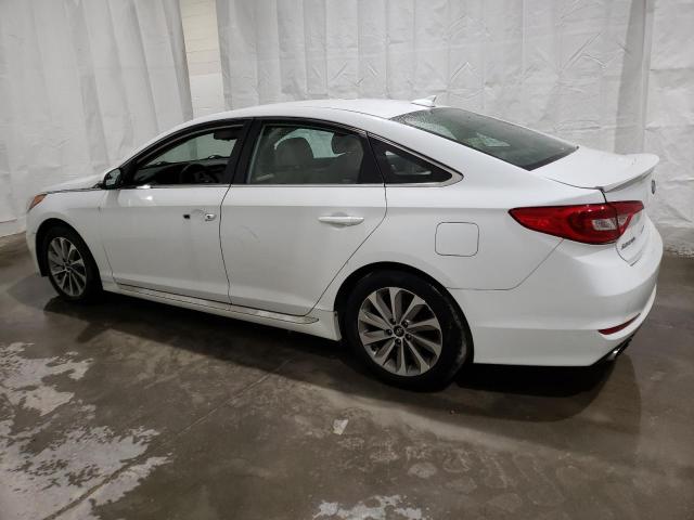 2017 Hyundai Sonata Sport VIN: 5NPE34AFXHH516842 Lot: 56060584