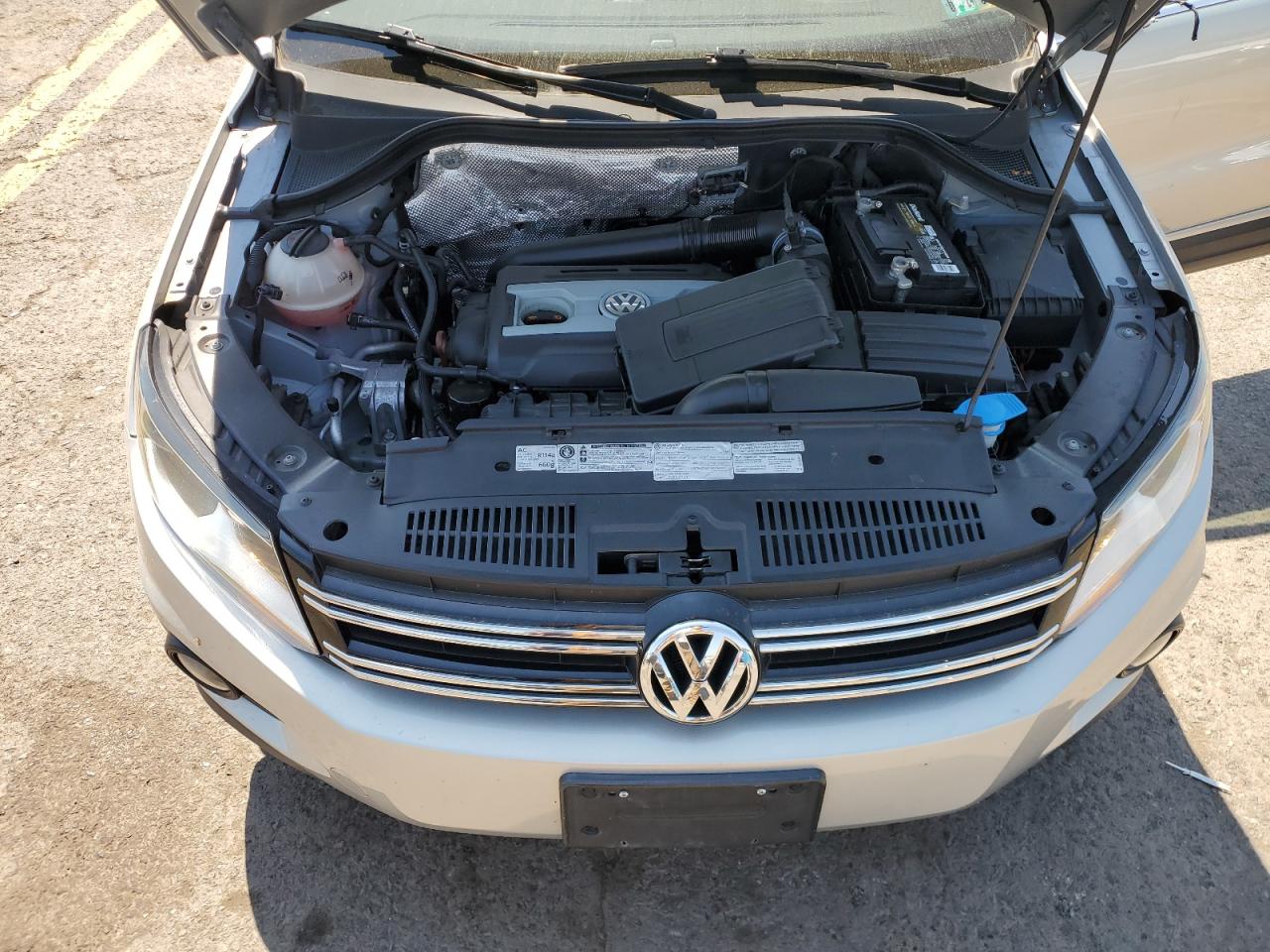 WVGBV7AX9DW540069 2013 Volkswagen Tiguan S