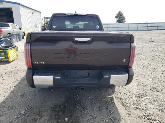 2022 Toyota Tundra Crewmax Platinum VIN: 5TFMA5DB3NX019857 Lot: 55043944