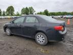 Lot #2701172266 2010 TOYOTA COROLLA BA