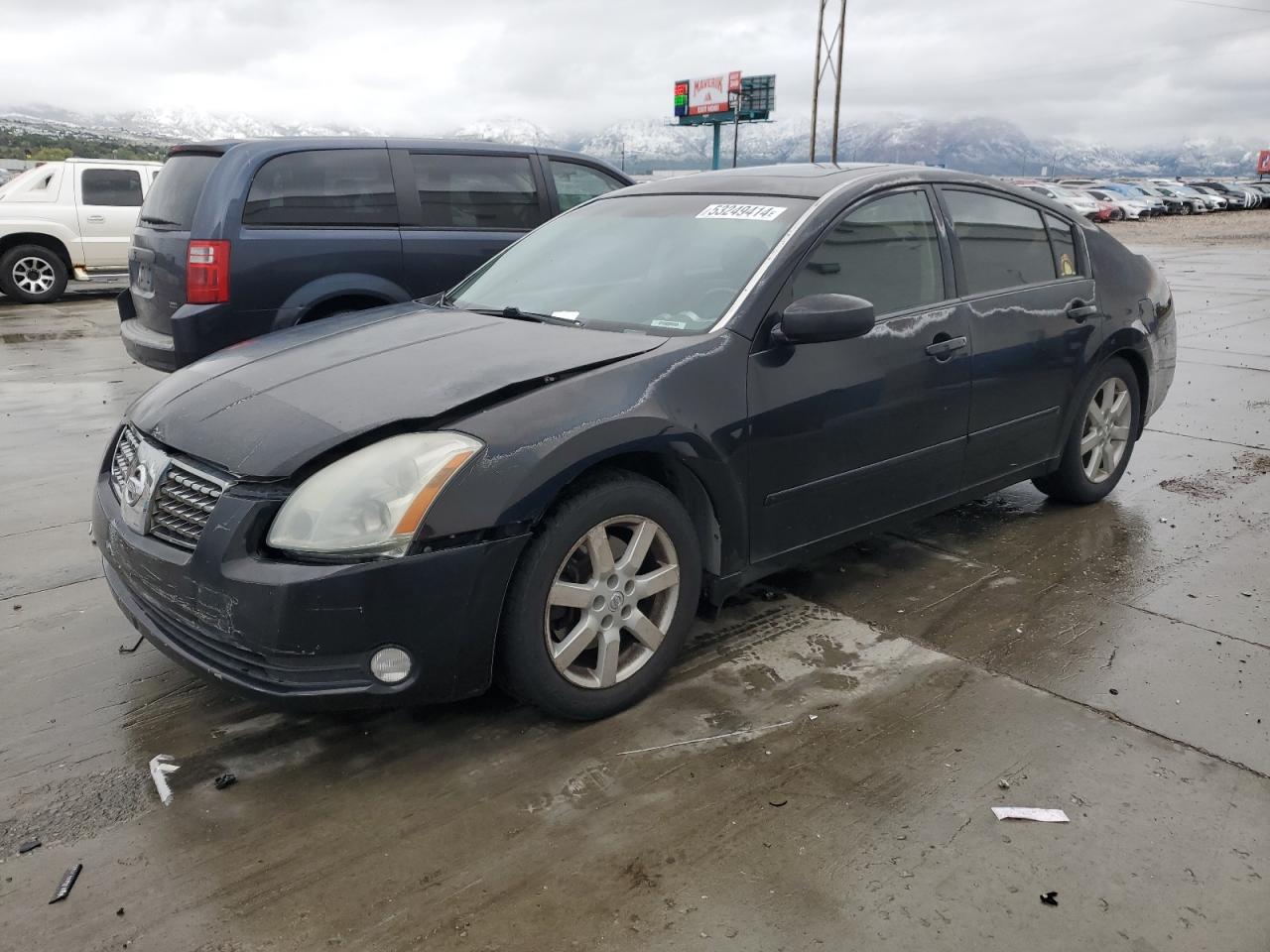 1N4BA41E24C899252 2004 Nissan Maxima Se