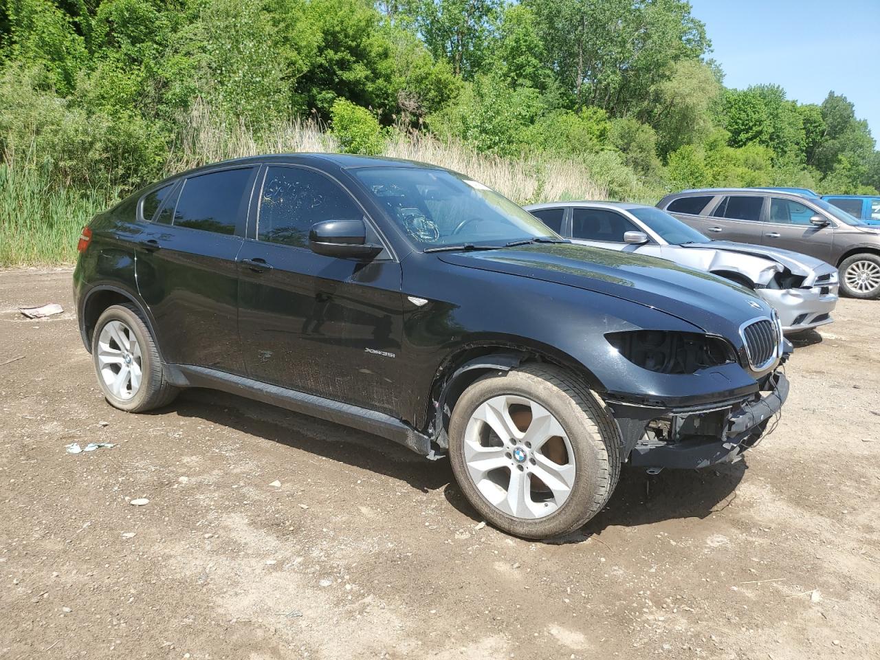 2013 BMW X6 xDrive35I vin: 5UXFG2C58DL784746