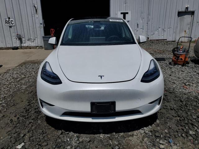 2023 Tesla Model Y VIN: 7SAYGDEE8PA071940 Lot: 54942164