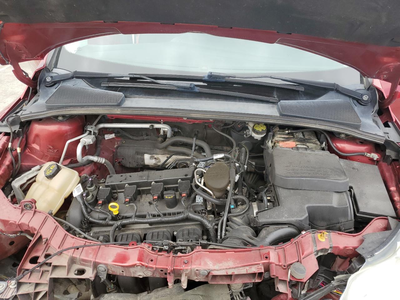 1FADP3K29EL431381 2014 Ford Focus Se