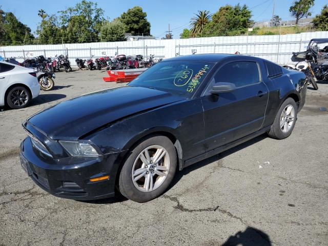 2014 Ford Mustang VIN: 1ZVBP8AMXE5310684 Lot: 53680994