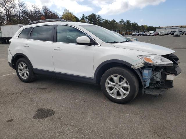 2011 Mazda Cx-9 VIN: JM3TB2CA4B0319984 Lot: 54332134