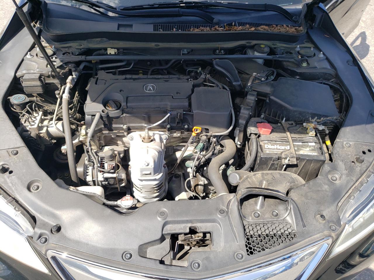 19UUB1F37FA008409 2015 Acura Tlx