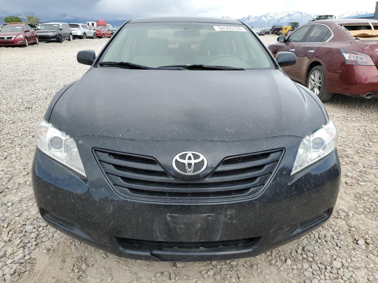 4T1BE46K19U855365 2009 Toyota Camry Base