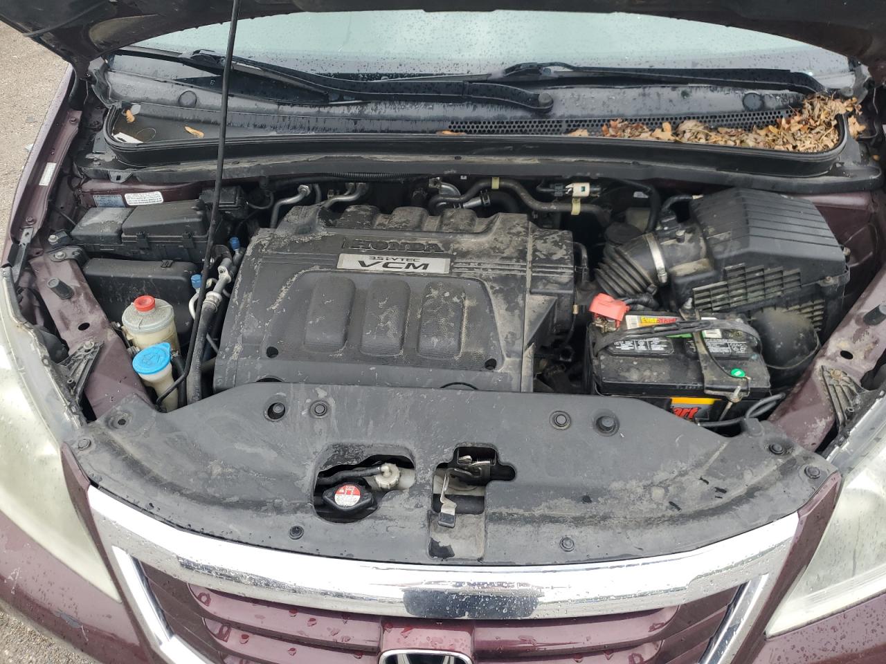 5FNRL3H61AB038073 2010 Honda Odyssey Exl