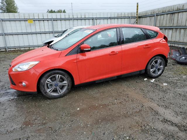 2014 Ford Focus Se VIN: 1FADP3K2XEL382840 Lot: 53627854