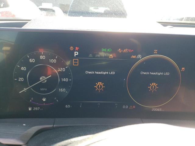 2023 Kia Telluride Sx VIN: 5XYP5DGC9PG390365 Lot: 55565574