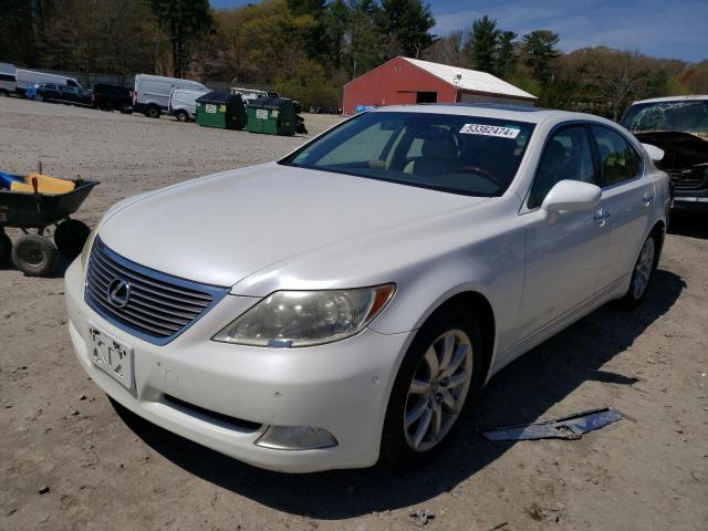 Lot #2537744620 2009 LEXUS LS 460 salvage car