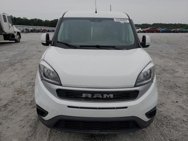 2020 Ram Promaster City Slt VIN: ZFBHRFBB6L6R44819 Lot: 53240424