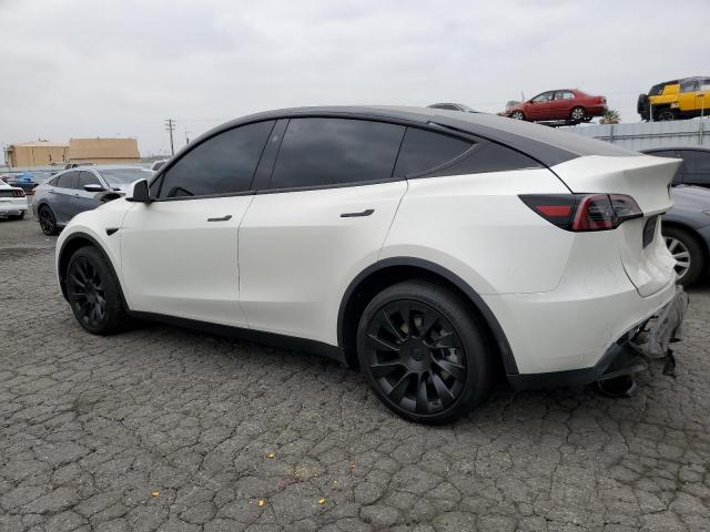 2023 Tesla Model Y VIN: 7SAYGDEE7PA178798 Lot: 55183514